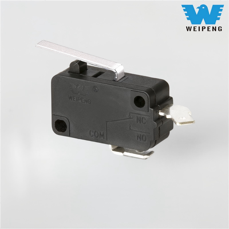 10A 250V bilvaskemaskin mikrobryter